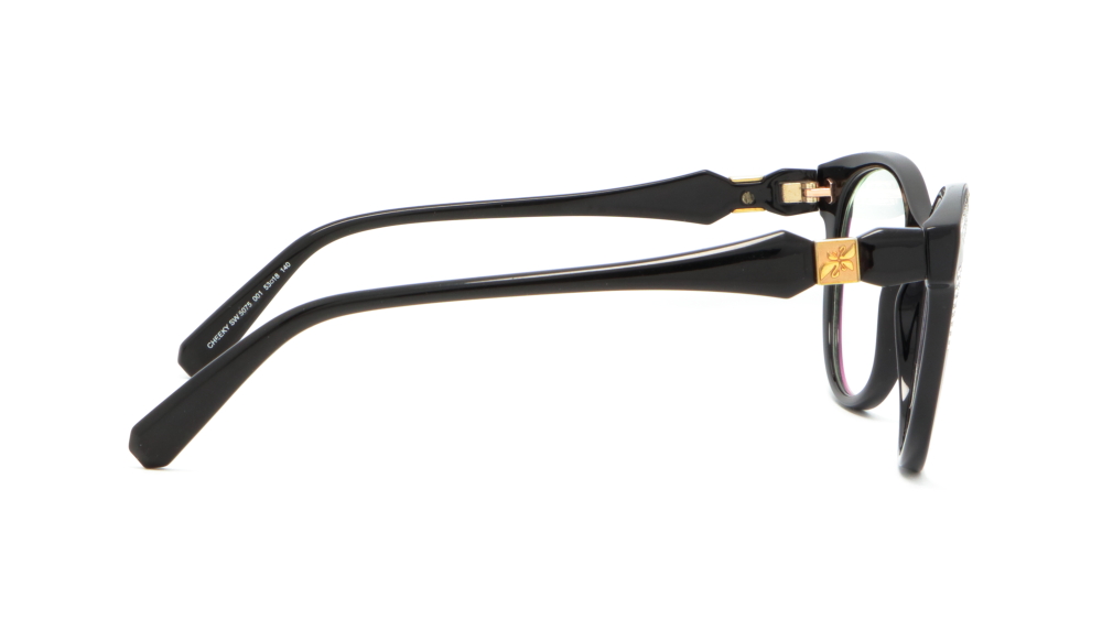 oprava-dlya-okulyariv-swarovski-sw-5075-001-4