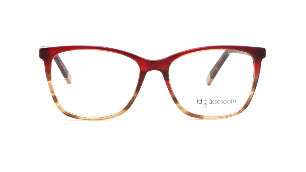 oprava-dlya-okulyariv-id-glasses-jb6004-c2-1