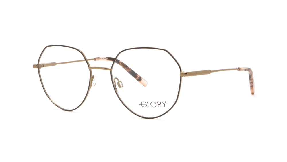 oprava-dlya-okulyariv-glory-620-brown (1)