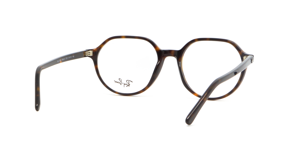 oprava-dlya-okulyariv-rayban-rb5395-2012-5
