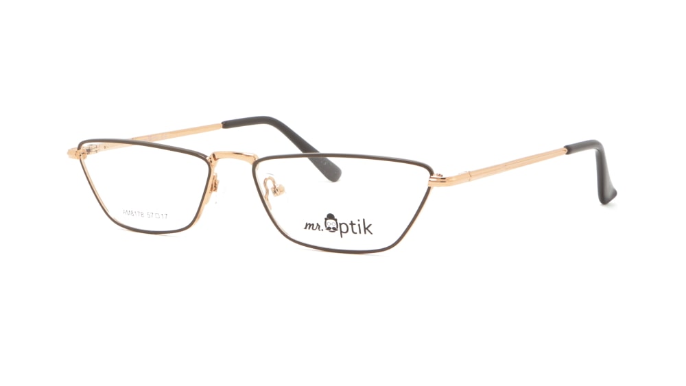 oprava-dlya-okulyariv-mr-optik-am8178-c4 (1)