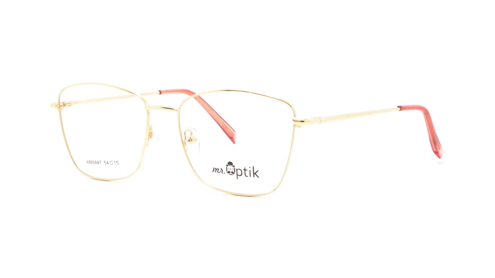 oprava-dlya-okulyariv-mr-optik-am8467-c1 (2)