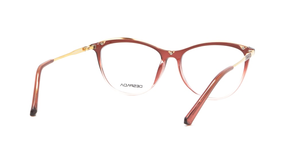 oprava-dlya-okulyariv-despada-ds5020-02 (4)