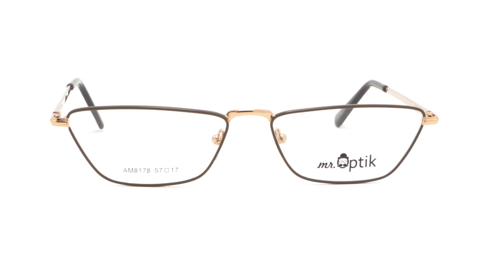 oprava-dlya-okulyariv-mr-optik-am8178-c4 (5)