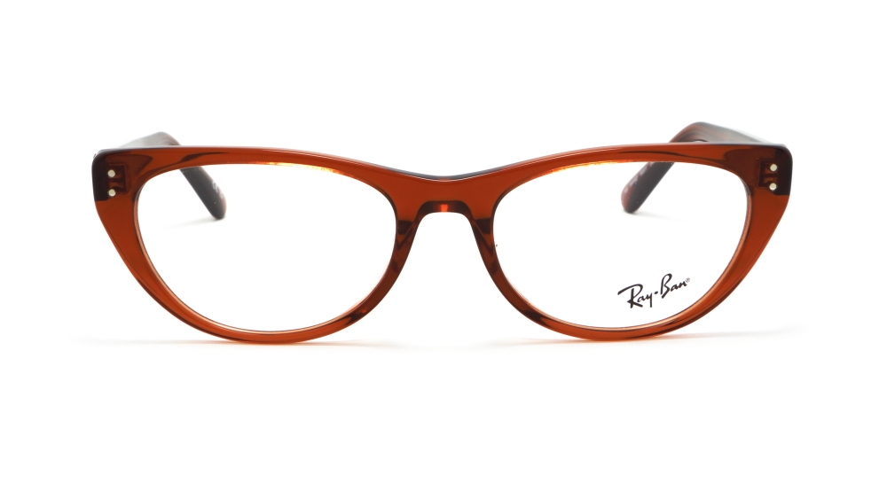 oprava-dlya-okulyariv-ray-ban-rb-5449d-8201-1