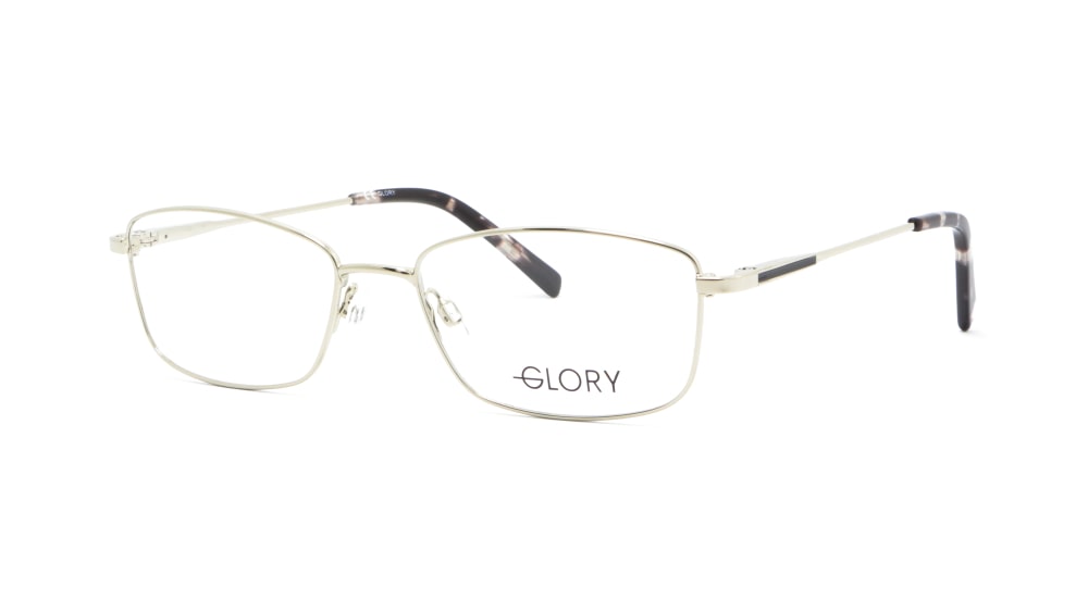oprava-dlya-okulyariv-glory-673-gun (1)