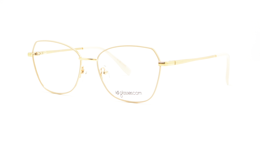 oprava-dlya-okulyariv-id-glasses-le6156c3-2