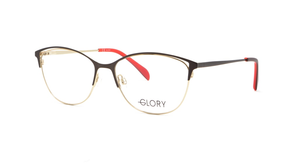 oprava-dlya-okulyariv-glory-622-brown (1)