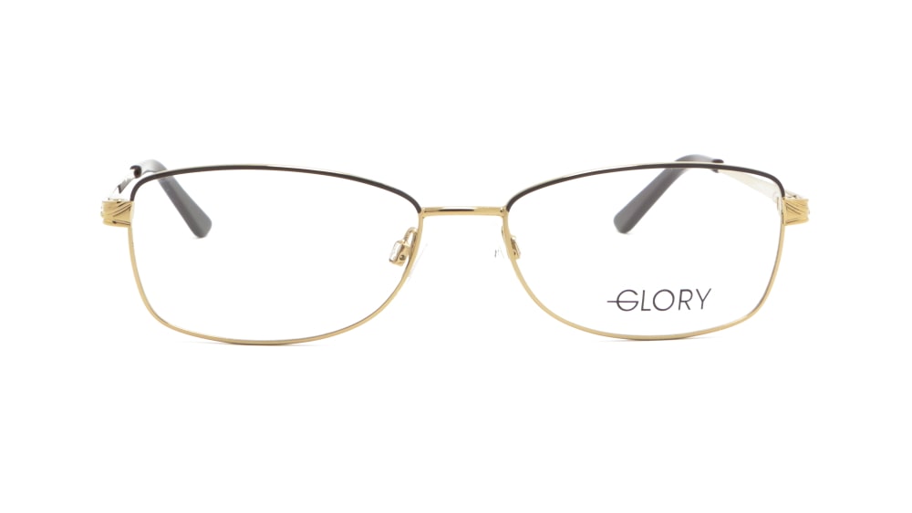oprava-dlya-okulyariv-glory-290-brown (5)