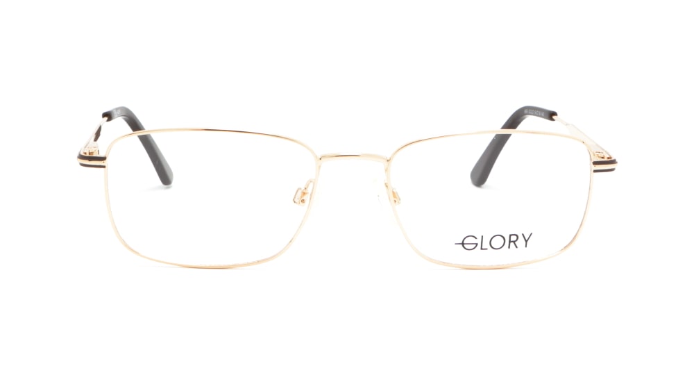 oprava-dlya-okulyariv-glory-669-gold (5)