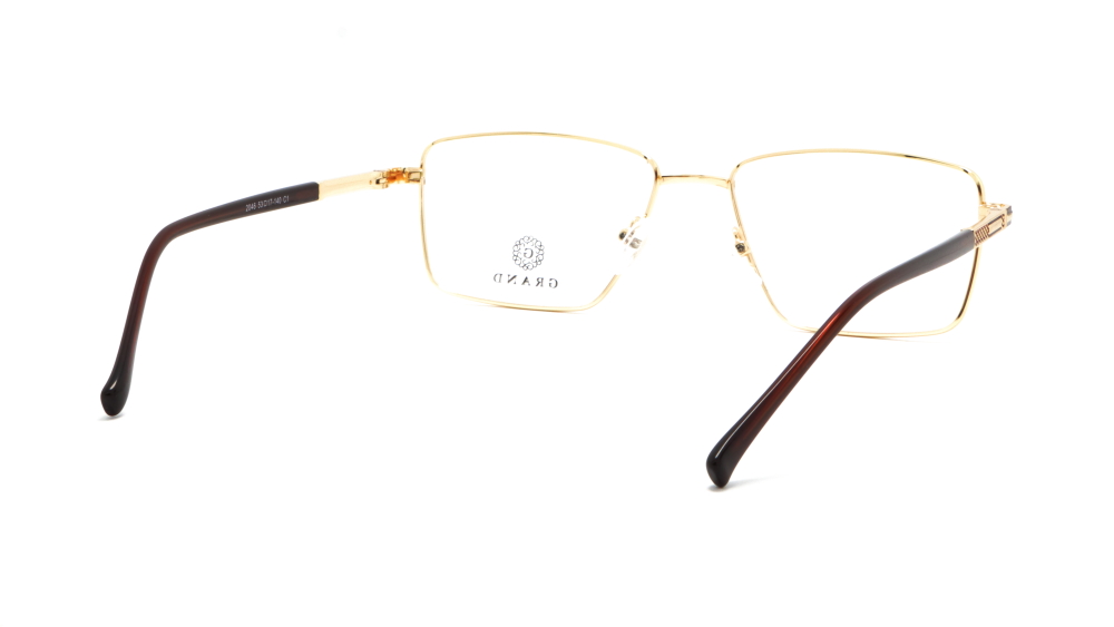 oprava-dlya-okulyariv-grand-2046-c1-53-5