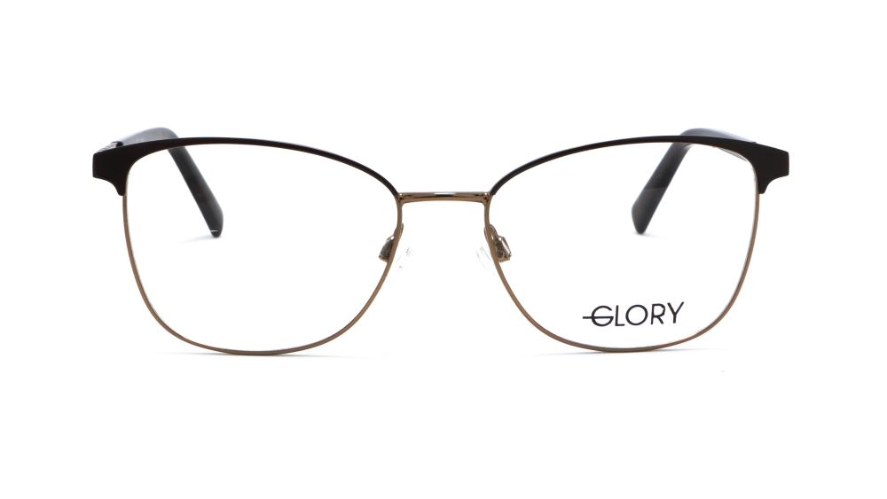 oprava-dlya-okulyariv-glory-618-brown-54-1