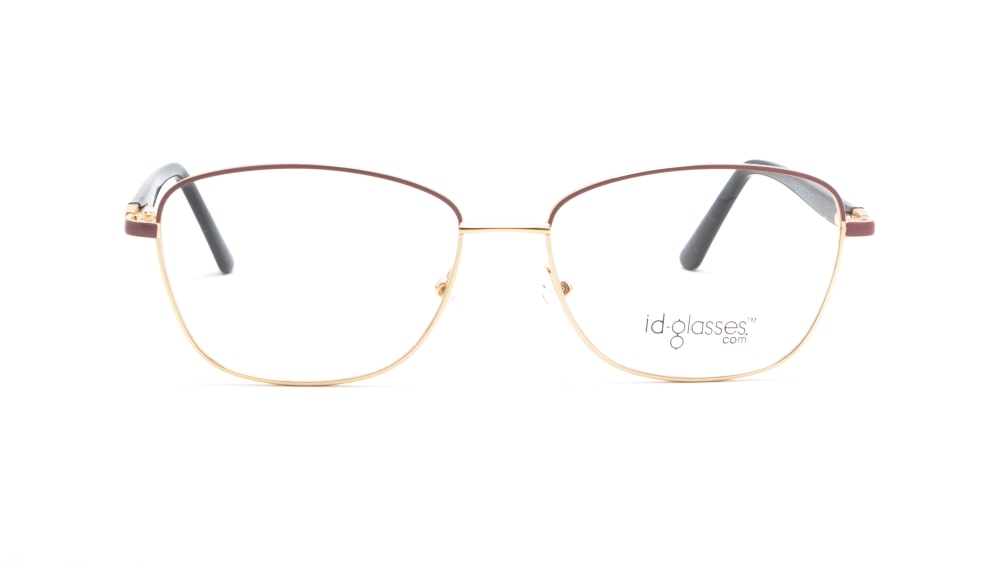 oprava-dlya-okulyariv-id-glasses-17267a20-c1 (5)