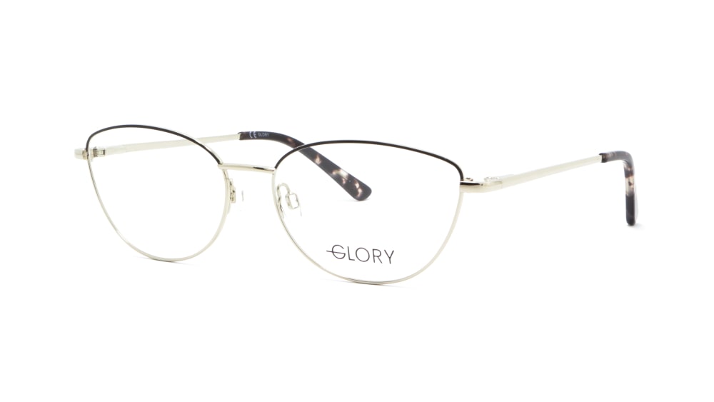 oprava-dlya-okulyariv-glory-229-gun (1)
