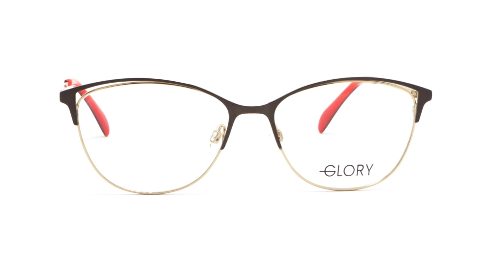oprava-dlya-okulyariv-glory-622-brown (5)