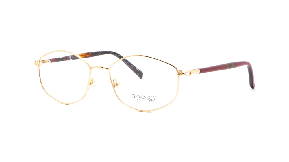 oprava-dlya-okulyariv-id-glasses-17264a22-c1 (5)