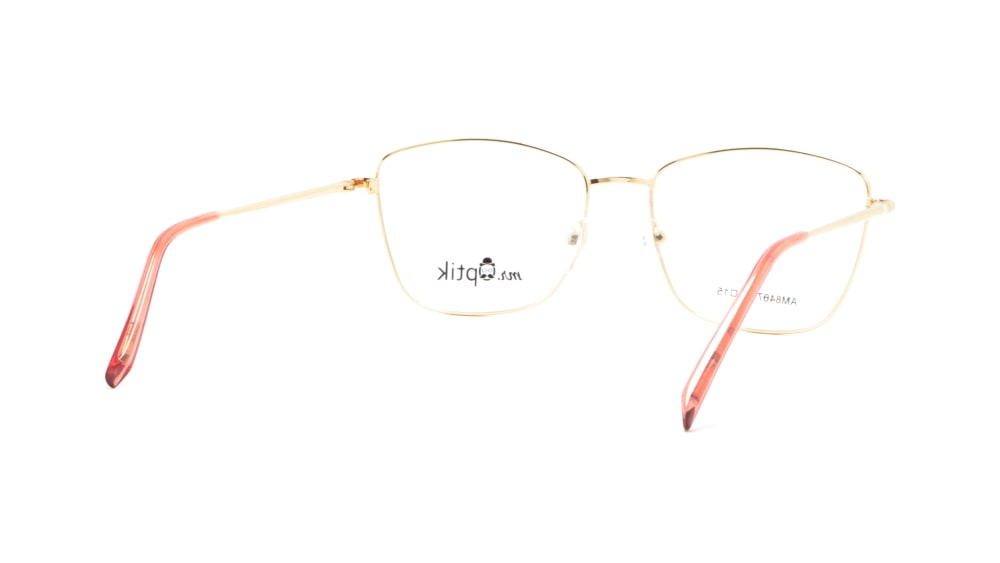 oprava-dlya-okulyariv-mr-optik-am8467-c1 (5)