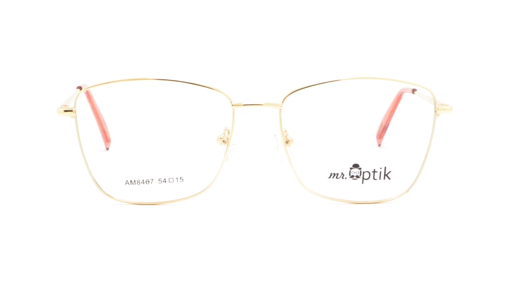 oprava-dlya-okulyariv-mr-optik-am8467-c1 (1)