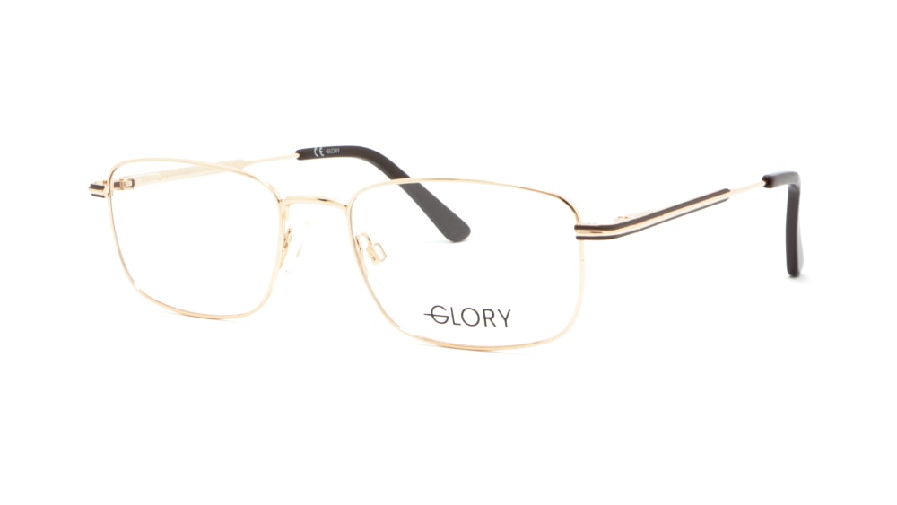 oprava-dlya-okulyariv-glory-669-gold (1)