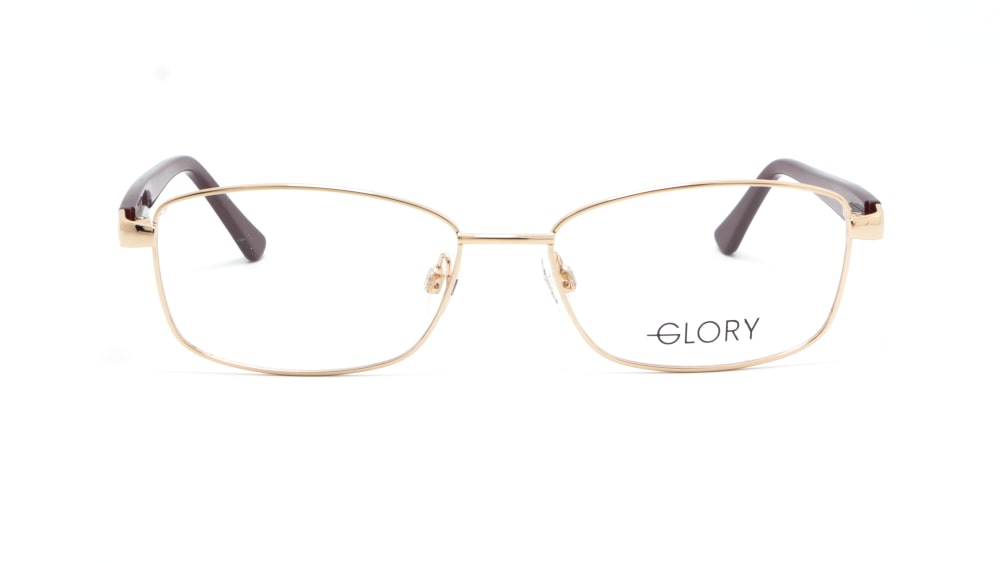 oprava-dlya-okulyariv-glory-615-gold (5)