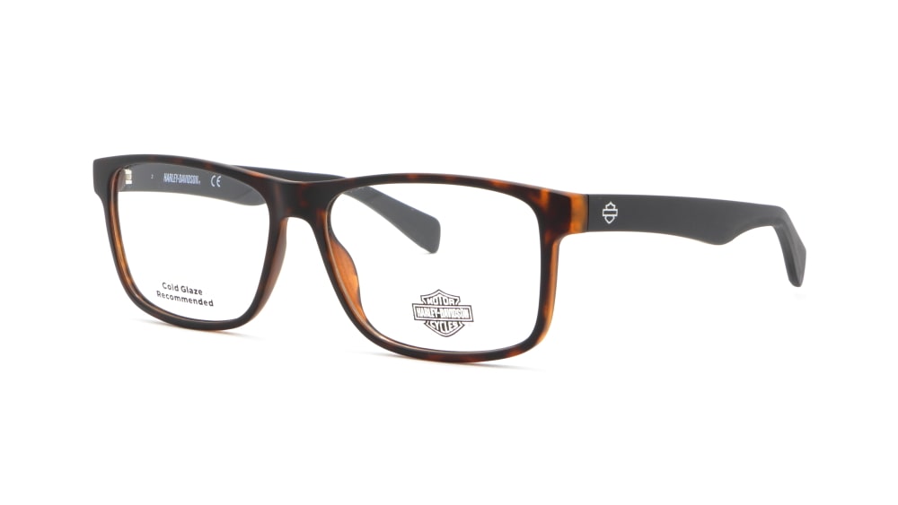 oprava-dlya-okulyariv-harley-davidson-hd0919-052 (1)