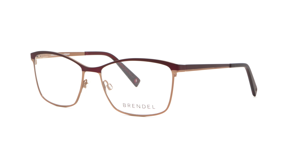 oprava-dlya-okulyariv-brendel-902281-50-2