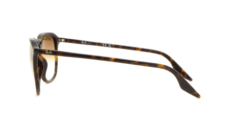 Зображення 3: Сонцезахисні окуляри Ray Ban RB 2203 902/51 55 Highstreet