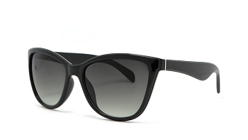 Сонцезахисні окуляри ICONS 2250