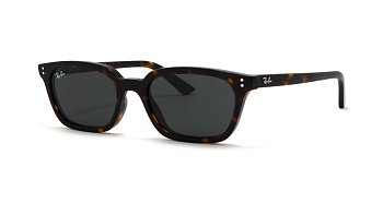 Сонцезахисні окуляри Ray Ban RB 4456 1359/87 53 Zaya Bio Based