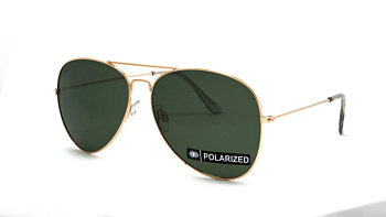 Сонцезахисні окуляри ICONS 1200 Pol