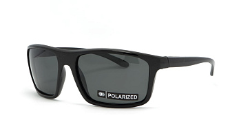 Сонцезахисні окуляри BASIC 184 Pol 60