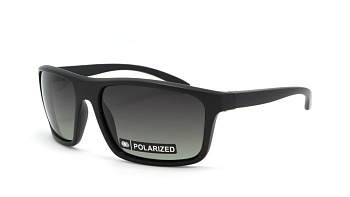 Сонцезахисні окуляри BASIC 184 A Pol 60