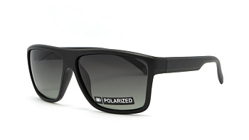 Сонцезахисні окуляри BASIC 164 Pol 60