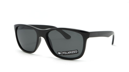 Зображення 1: Сонцезахисні окуляри ICONS 8100 Pol