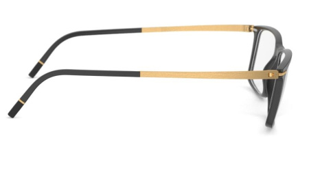 Зображення 3: Оправа для окулярів Silhouette 2921 9020 56