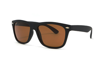 Сонцезахисні окуляри ICONS 2240 B