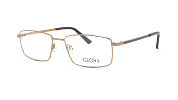 Оправа для окулярів GLORY 216 BROWN 55
