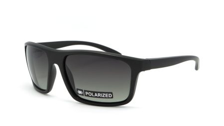 Зображення 1: Сонцезахисні окуляри BASIC 184 A Pol 60