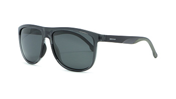 Сонцезахисні окуляри DESPADA 2436 01 58