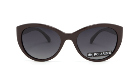 Зображення 5: Сонцезахисні окуляри BASIC 230 A Pol