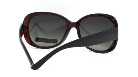 Зображення 4: Сонцезахисні окуляри BASIC 290 A Pol