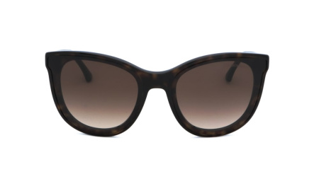 Зображення 5: Сонцезахисні окуляри EMPORIO ARMANI EA 4125 5089/13 61