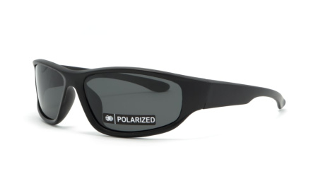 Зображення 1: Сонцезахисні окуляри BASIC 170 Pol