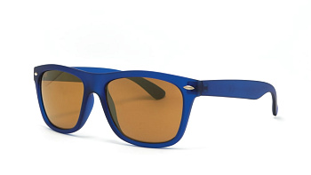 Сонцезахисні окуляри ICONS 2240 --- 54