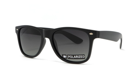 Зображення 1: Сонцезахисні окуляри BASIC 060 Pol 54