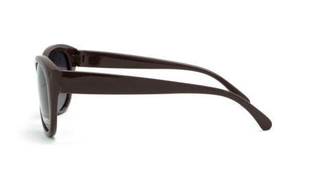 Зображення 4: Сонцезахисні окуляри BASIC 230 A Pol