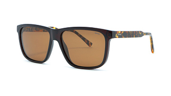 Сонцезахисні окуляри INVU IB22502 D 56