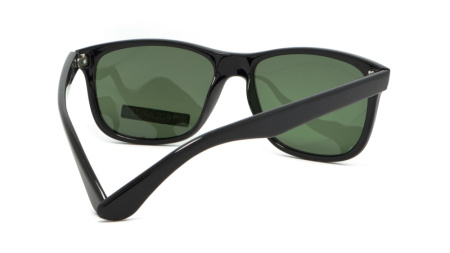 Зображення 2: Сонцезахисні окуляри ICONS 8100 A Pol