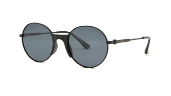 Сонцезахисні окуляри DESPADA 2323 02 53