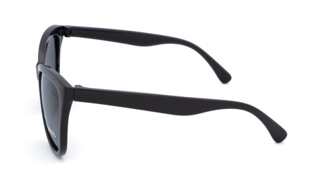 Зображення 3: Сонцезахисні окуляри BASIC 205 A Pol